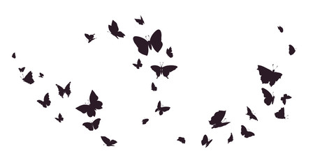 Obraz na płótnie Canvas Set of butterflies, ink silhouettes. Glowworms, fireflies and butterflies icons isolated on white background. Hand drawn elements, Vector illustration.