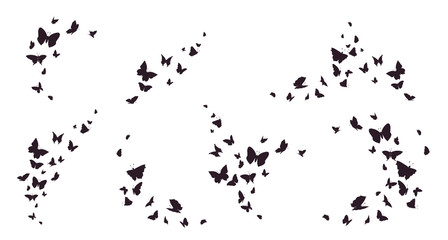 Set of butterflies, ink silhouettes. Glowworms, fireflies and butterflies icons isolated on white background. Hand drawn elements, Vector illustration. - obrazy, fototapety, plakaty