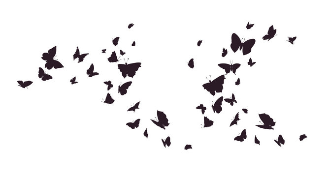 Set of butterflies, ink silhouettes. Glowworms, fireflies and butterflies icons isolated on white background. Hand drawn elements, Vector illustration.