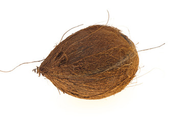 Coconut isolated on white background
