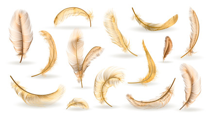 Vector feathers collection, set of different falling fluffy twirled feathers, isolated on transparent background. Realistic style, vector 3d illustration