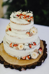 Naked Cake, Hochzeitstorte, Wedding Cake, Torte