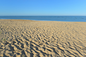 Fototapeta na wymiar sand of the beach from Altantic ocean in france