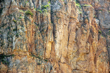 Mountain hill panoramic landscape in the early morning