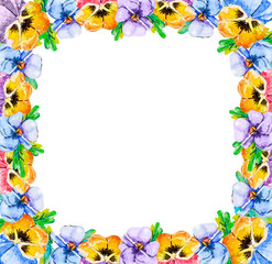 Square frame of blooming summer wild flowers of violets pansy with foliage. The middle is empty for text invitations to the wedding, birth, congratulations. Viola tricolor in watercolor style
