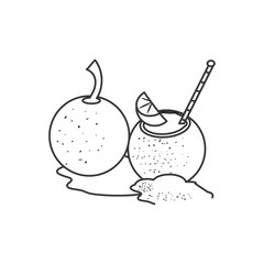 summer fresh cocktails with coconuts