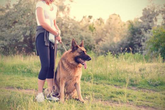 German shepherd dog with owner in the field