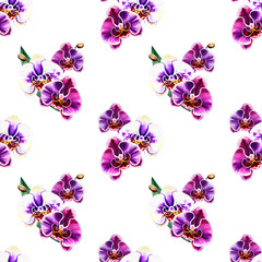 Fototapeta na wymiar Seamless pattern from orchid flowers. Watercolor painting. Exotic plant. Floral print. Botanical composition. Wedding and birthday. Greeting card. Flower painted background. Hand drawn illustration.