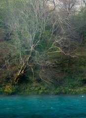Fog over river in a forest in spring