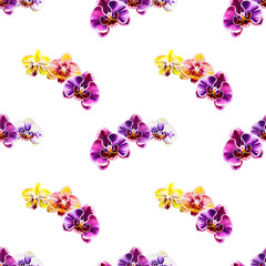 Seamless pattern from orchid flowers. Watercolor painting. Exotic plant. Floral print. Botanical composition. Wedding and birthday. Greeting card. Flower painted background. Hand drawn illustration.
