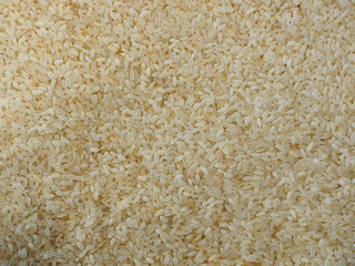 Type of rice in Kochi, Kerala