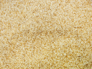 Yellow rice in Kochi, Kerala