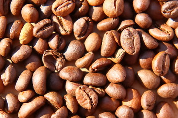 Grains of aromatic roasted coffee scattered on a cardboard surface in the rays of the rising sun.