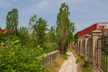 Fototapeta na wymiar Kurortnoye - urban settlement