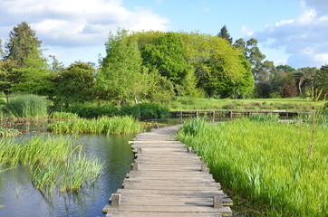 Pretty wooden walkeway