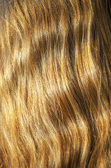 Naklejka premium The beautiful red hair as a background