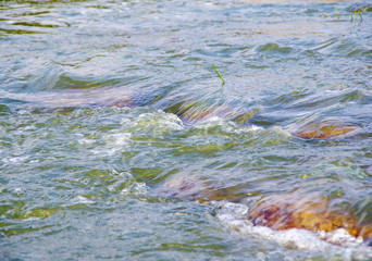 Fast flowing water in the mountain river