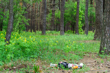 Garbage in forest. People illegally thrown garbage into forest. Concept of man and nature. Illegal...