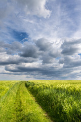 Amazing cloudy sky and dirt road between green fields