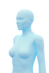 Human Body, Female, Woman