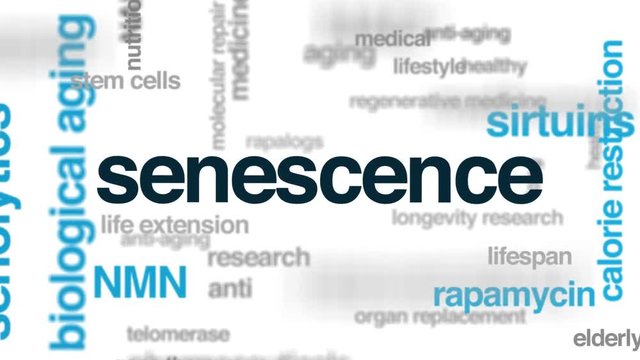 Senescence animated word cloud. Kinetic typography.