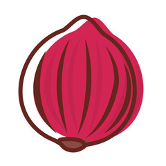 red onion fresh vegetables icon vector ilustrate