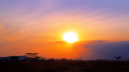 Obraz na płótnie Canvas African Sunset