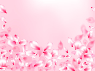 Pink cherry blossom petals isolated on rose color background. Flying sakura flower parts spring wedding vector.