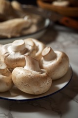 Mushrooms close up