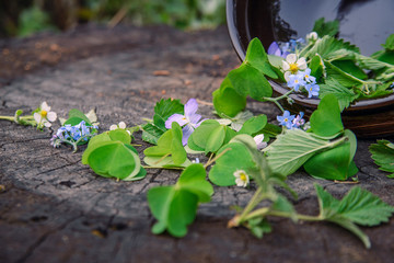 forest herbs and flowers were scattered on an old wooden stub from a clay plate, a close up