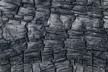black texture of the burned tree trunk to a condition of coal, the top view