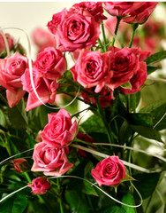  Roses, bouquet, beauty.