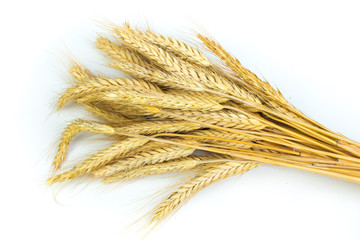 Horizontal wheat ears isolated on white background as package design element.