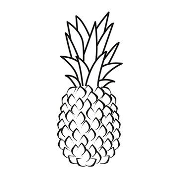 pineapple nutrition fresh fruit icon vector ilustrate