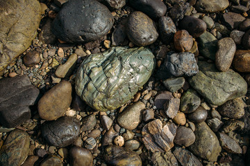 River stones glisten in the sun. One large grey-green cobblestones of little colorful pebbles. Concept of the stone background.
