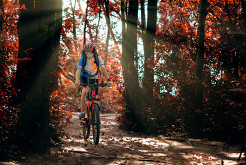 Fototapeta na wymiar Woman cyclist bicycle riding in way of the autumn forest road, adventure woman riding mountain bike alone in forest at countryside
