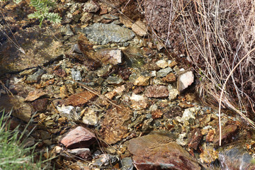 Des cailloux danse dans les Hautes Fagnes