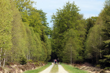 Obraz premium Des randonneurs dans les Hautes Fagnes de Belgique