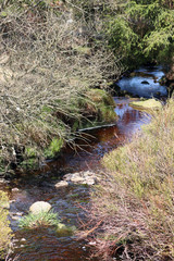 Un des ruisseaux des Hautes Fagnes
