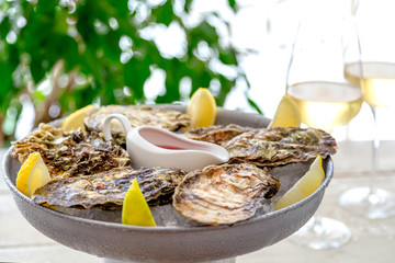 Fresh oysters with ice and white wine. Seafood. White background