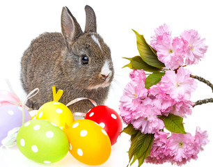 little rabbit and easter eggs