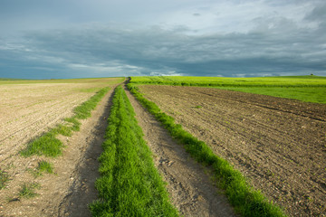 Fototapeta na wymiar Country road through fields, horizon and dark clouds in the sky