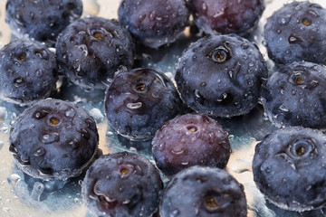 Ripe blueberries on a white background with water drops. Macro. Close-up.