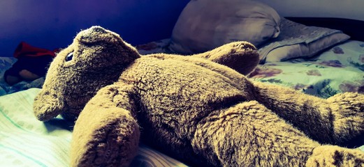 Peluche