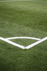 Fototapeta premium soccer field in stadium