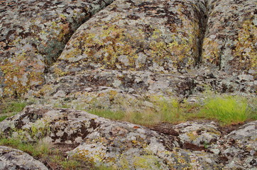 prehistoric granite boulder. landscape park Granite-steppe lands of Buh.  Natural Wonders of Ukraine 