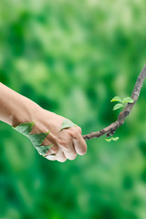 cooperation of man and nature concept