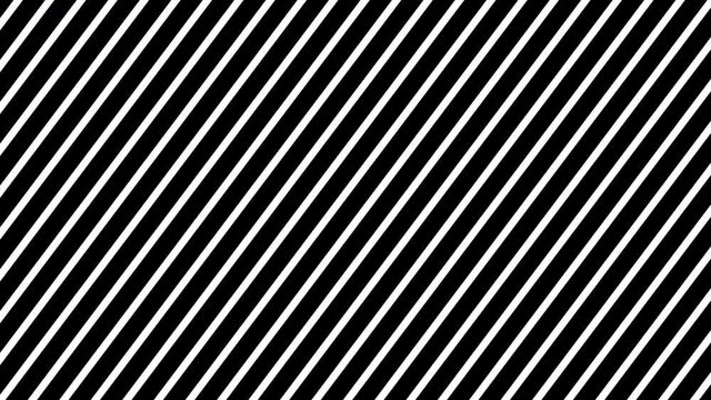 Animated background with white and black lines. 