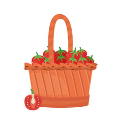 Fototapeta na wymiar tomatoes fresh vegetable in basket