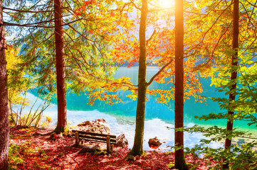 Bench and yellow autumn trees on the shore of lake in Alps, Austria. Beautiful autumn landscape